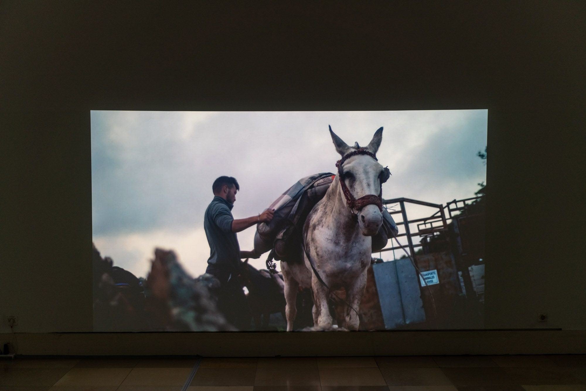 © Elena Alvaréz Lutz, Ausstellungsansicht VIDEODOX - 4. VIDEOKUNST-BIENNALE, Foto: Edward Beierle