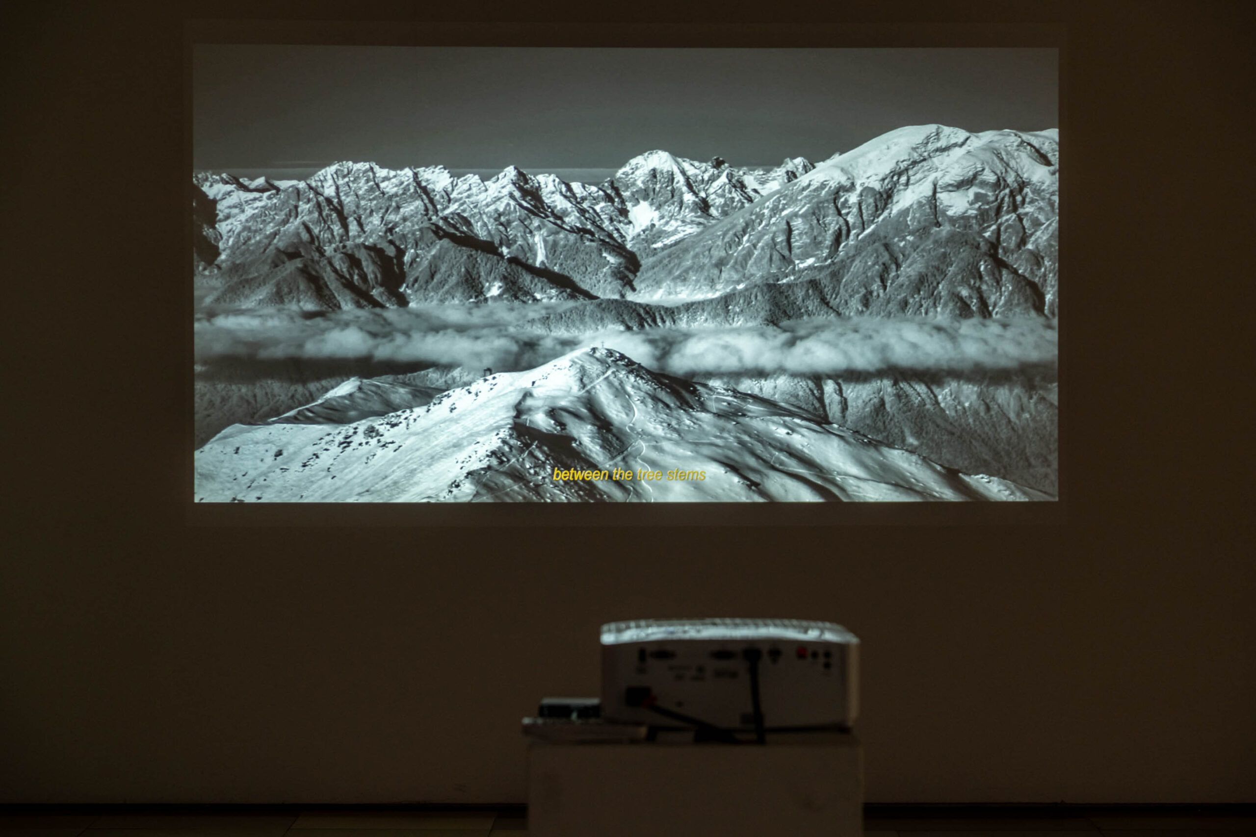 © Emilia Haar, Ausstellungsansicht VIDEODOX 2025 / 6. BIENNALE FÜR VIDEOKUNST AUS BAYERN, Foto: Edward Beierle