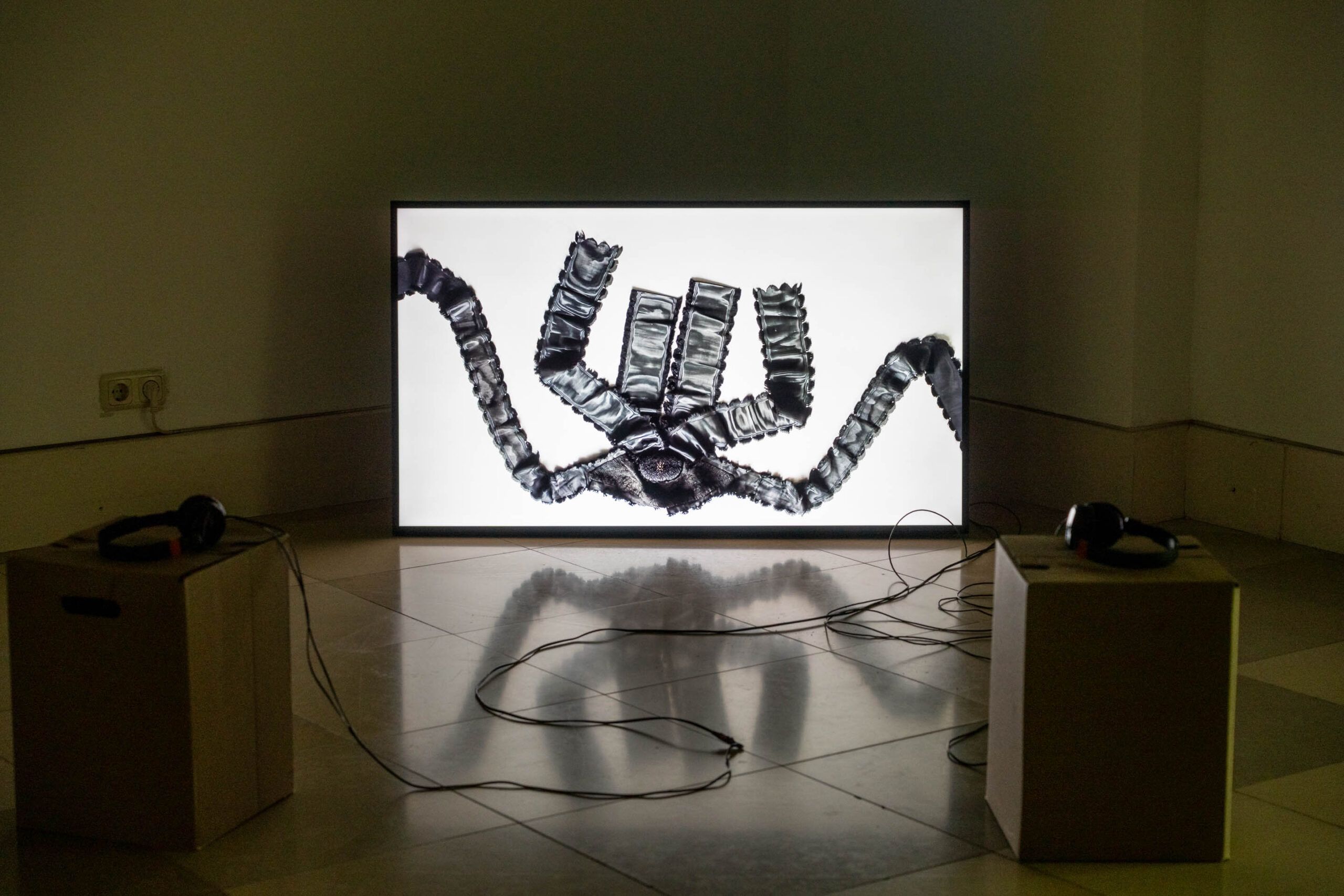 © Eva Schmeckenbecher, Ausstellungsansicht VIDEODOX 2025 / 6. BIENNALE FÜR VIDEOKUNST AUS BAYERN, Foto: Edward Beierle