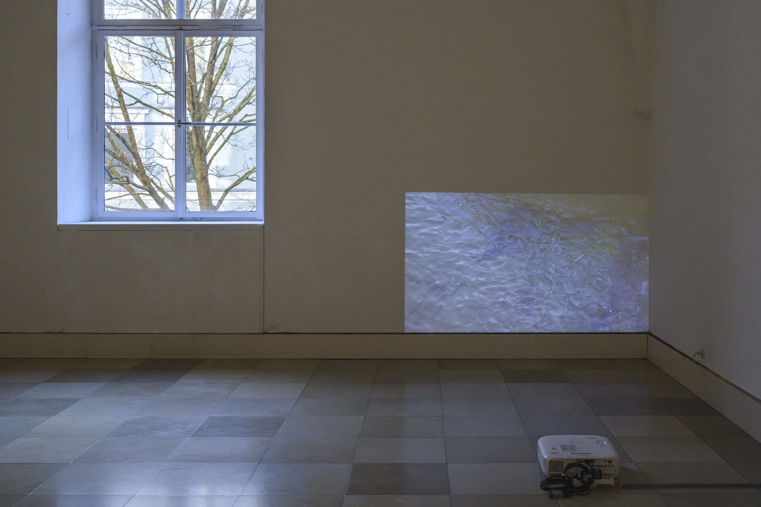 © Michael Mönnich, Ausstellungsansicht BAYERISCHER KUNSTFÖRDERPREIS / BILDENDE KUNST 2025, Foto: Frank Schroth